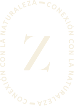 zienna logo